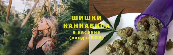 амф Нефтекумск