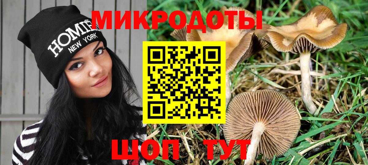 продажа наркотиков  Псилоцибиновые грибы GOLDEN TEACHER  Вход с VPN  Сыктывкар 