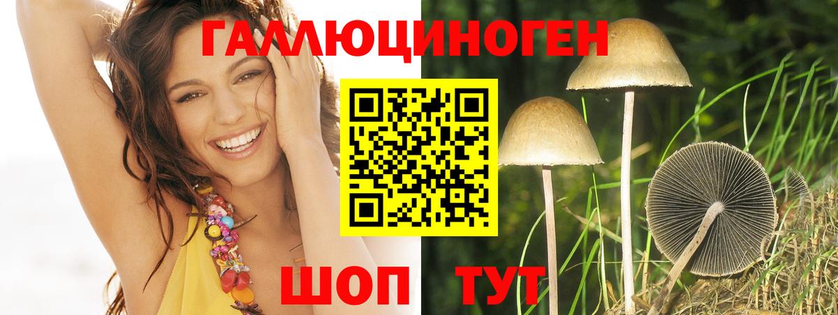 Галлюциногенные грибы ЛСД Сыктывкар